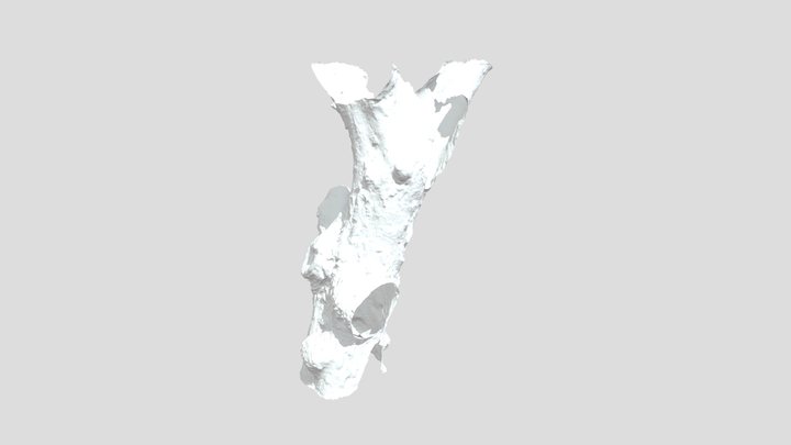 220506_test 3D Model