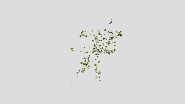 Seamntic_Apple_Tree_Real 3D Model