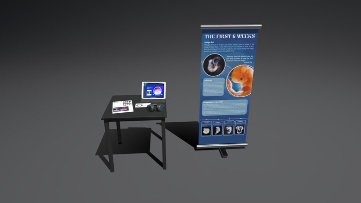 SOHL 2 - The First 6 Weeks 3D Model