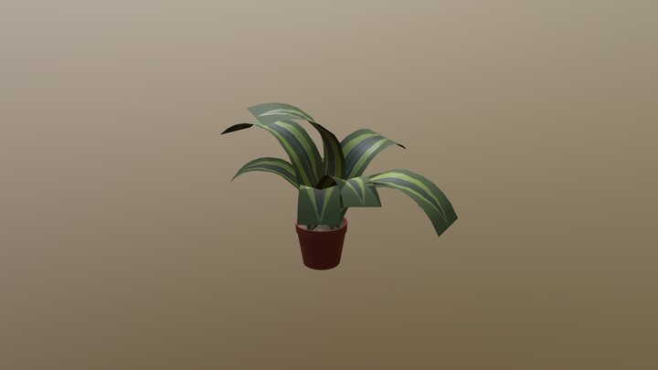 House Plant 3D Model