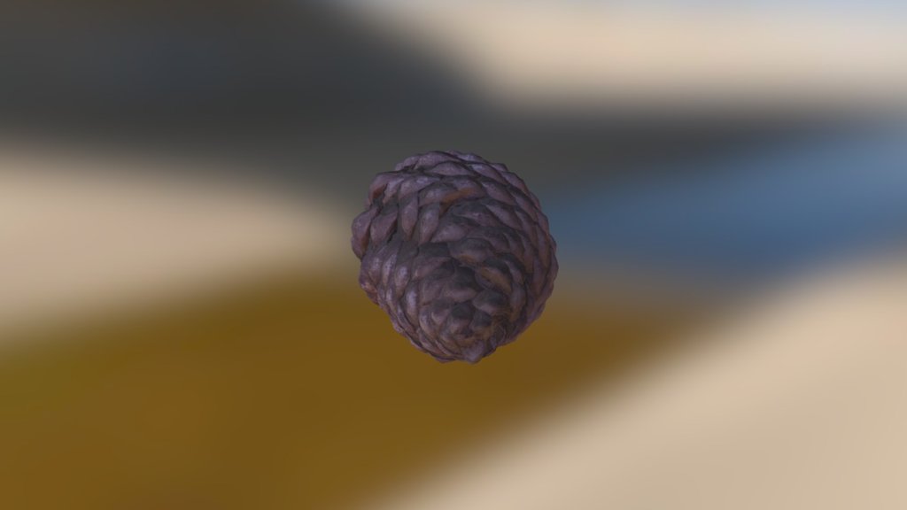 Photoscanned Pinecone