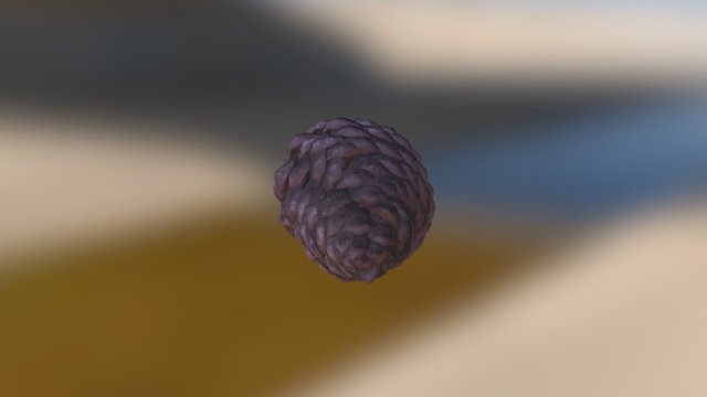 Photoscanned Pinecone 3D Model
