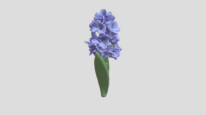 Hyacinth statue 3D Model
