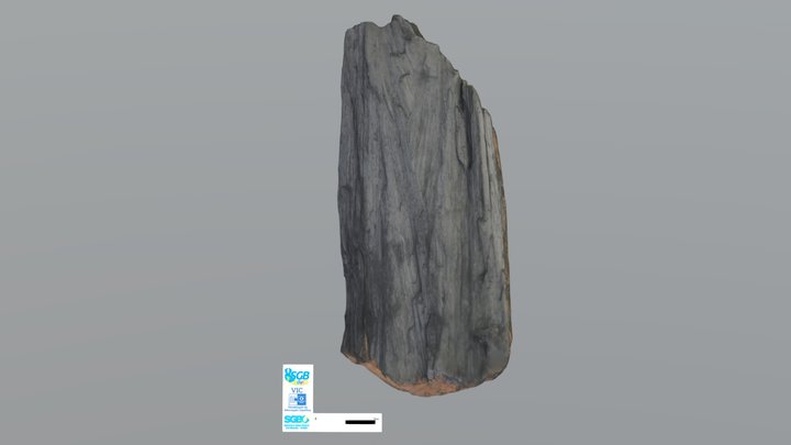 Pirolusita 3D Model