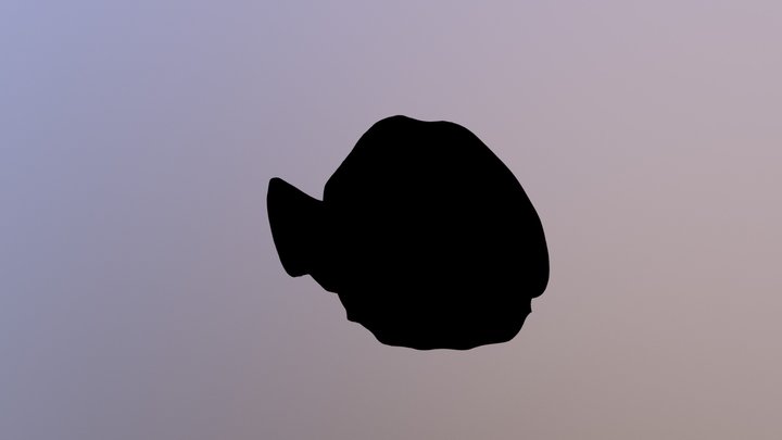Fish nemo 3D Model