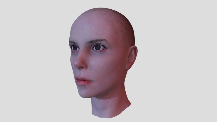 37_Disa_Leong_Proj 3D Model