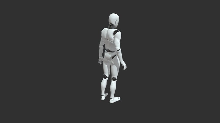 Pushes A Door Or Wall V1 3D Model
