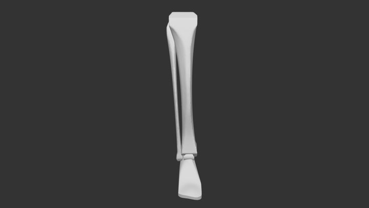 Bammes Lower Leg Bones 3D Model