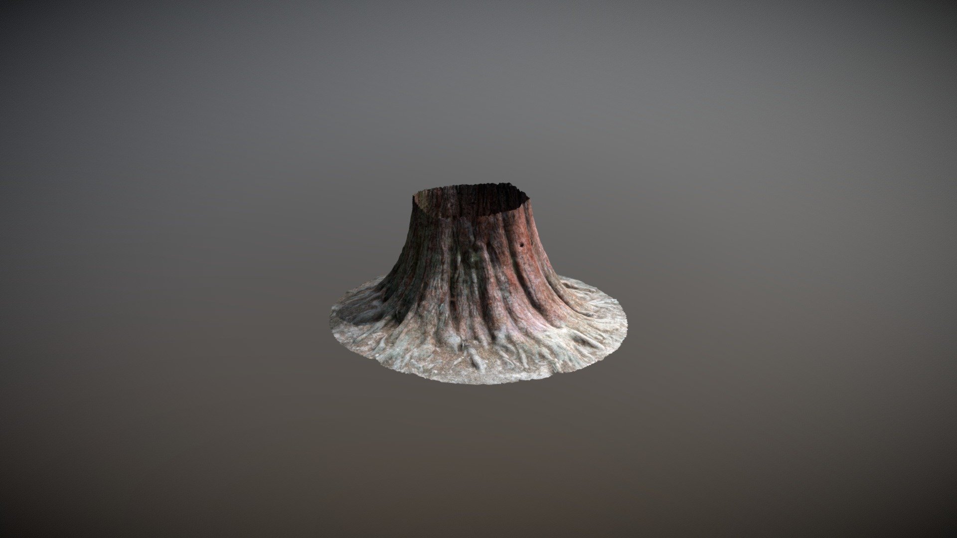 Giant treestump