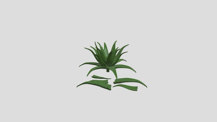Foliage_asset_3d_aloe_vera_plant 3D Model