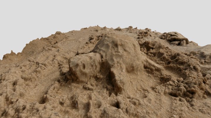 Turtle in the sand 3D Model