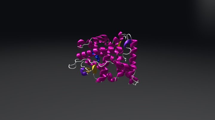 Progesterone receptor bound to progesterone 3D Model