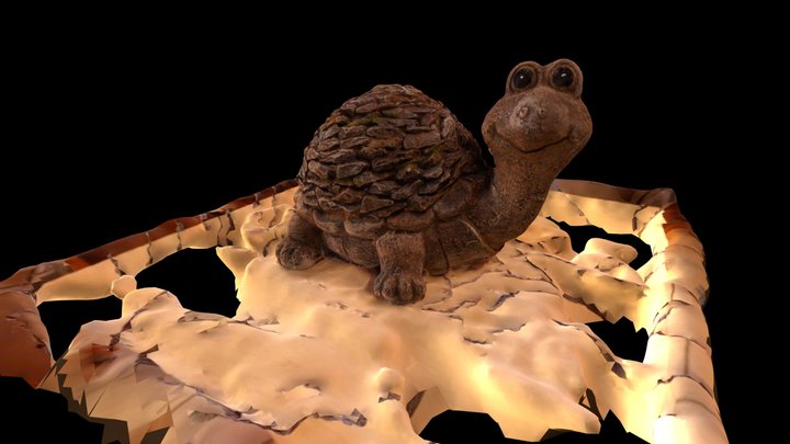 Turtle 3D Model
