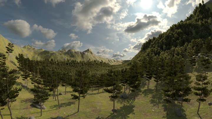 Forest Clearing 1 Top Skybox 3D Model