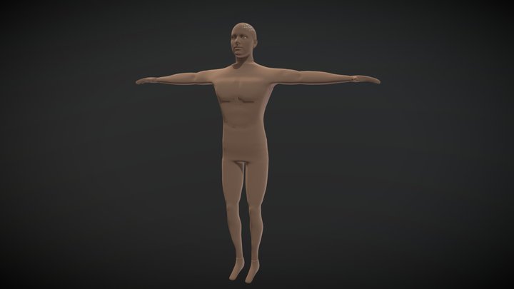 Free human model 3D Model