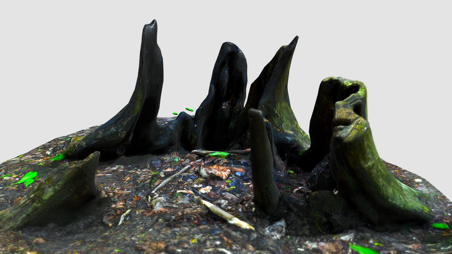 burnt stump scan