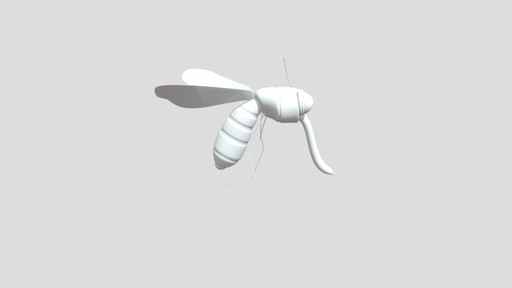 mosca 3D Model
