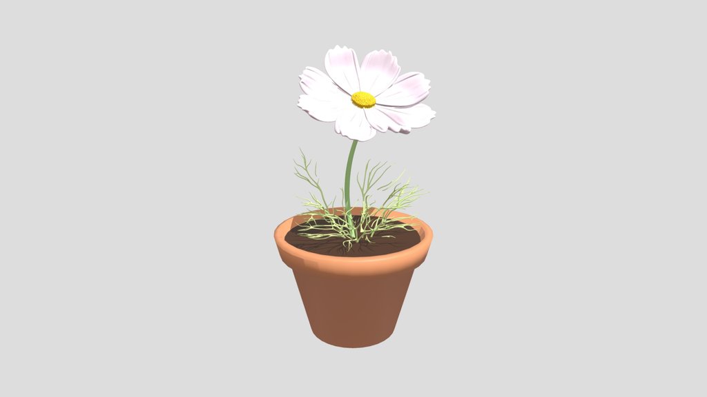 cosmos