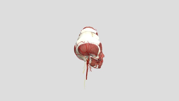 Test3 3D Model