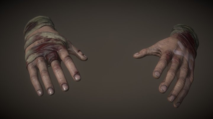 Player Hands_ConfinedVRII 3D Model