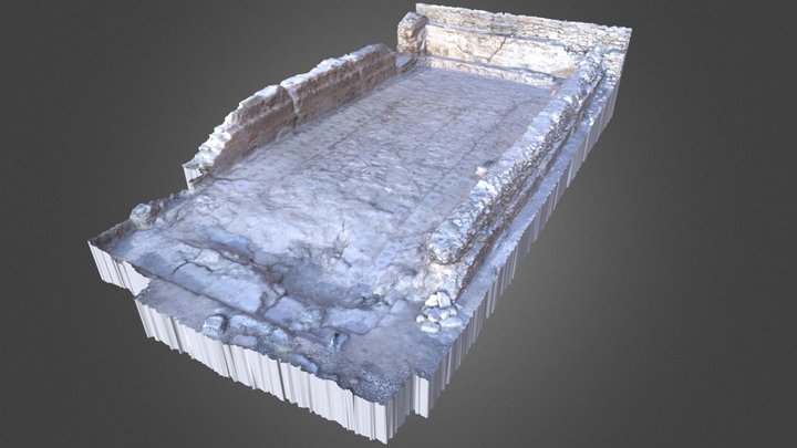 Mosaico Casa de la Exedra 3D Model