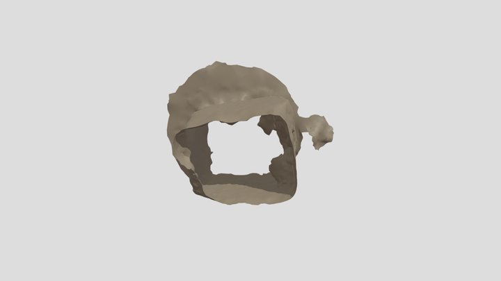Space Rock2 3D Model
