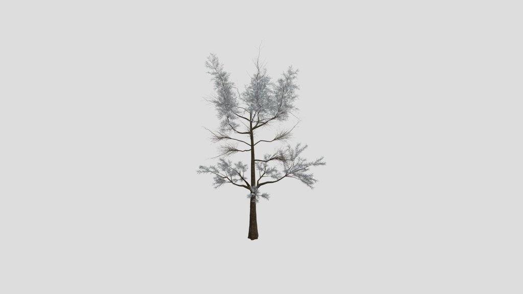 Sj Vibrant Valley Pine Tree