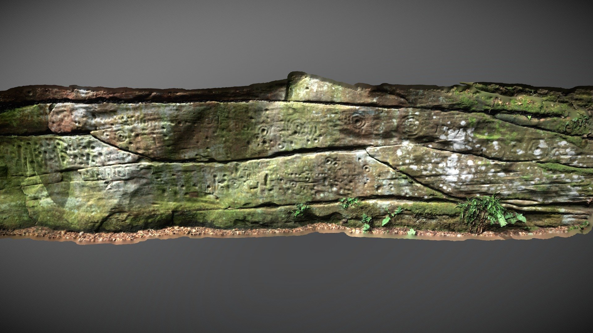 Ballochmyle Wall N - Cup & Ring Marked Rock