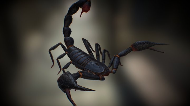 Scorpion 03, Emperor - 3D model by Eric Lynx Lin 林靖軒 [ed43652