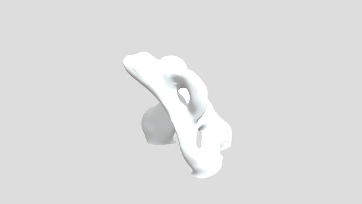 Chupete Algo Arreglado Orca 3D Model