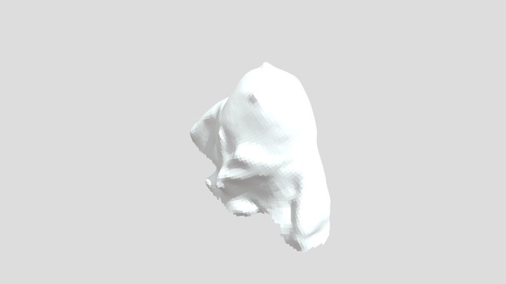 boo_normal map 3D Model