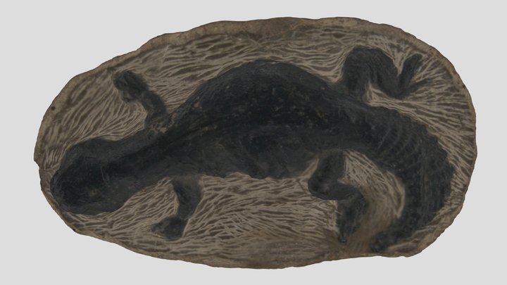 The Lying Lizard of Marrakech 3D Model