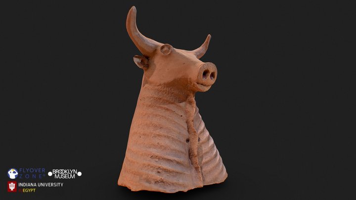 3D rendering of Bull (head and neck)