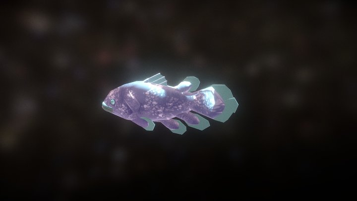 Coelacanth 3D Model