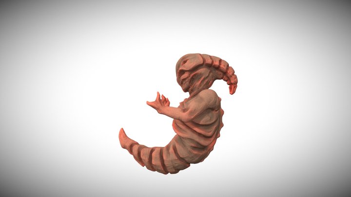 Sweet child 3D Model