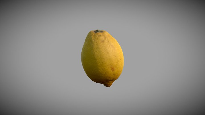 Lemon 3D Model