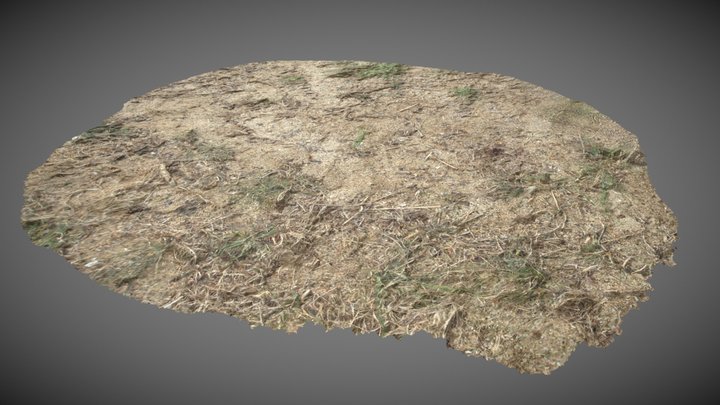 Sandy Ground 3D Model