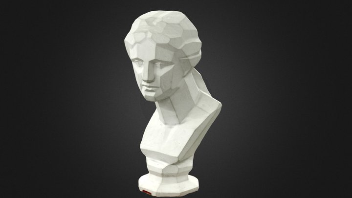 Plaster poly 3D Model