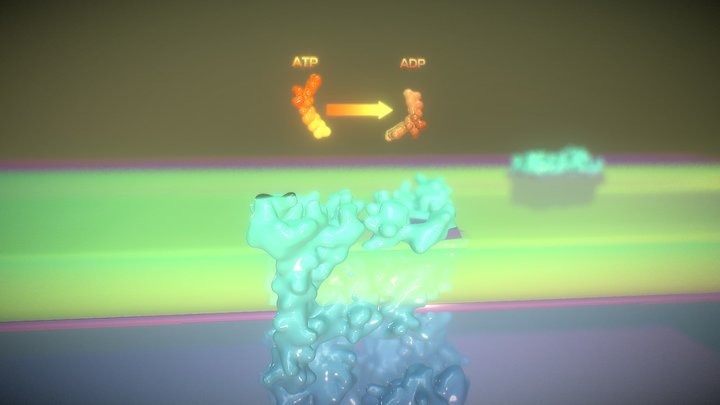 Transporter Protein 3D Model