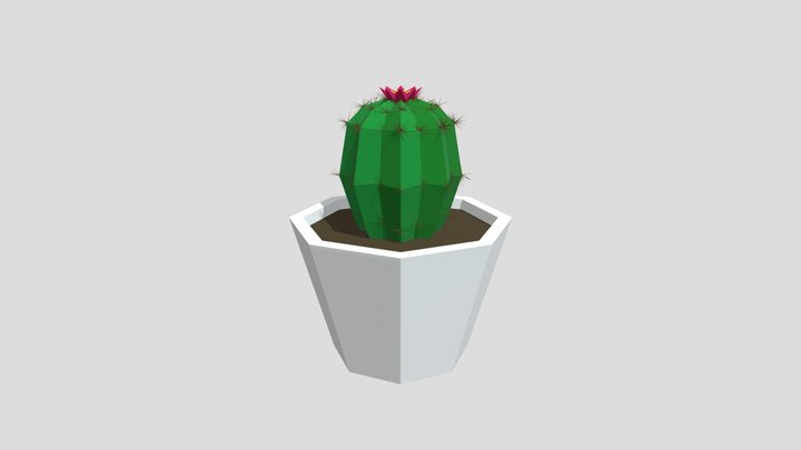 Low Poly Cactus 3D Model