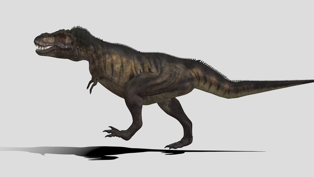 T rex