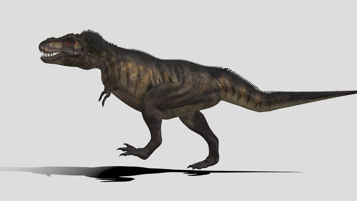 T rex 3D Model