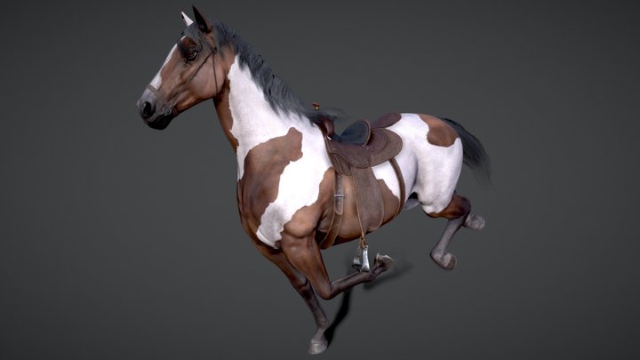 Horse(Stallion)  |Game Ready| 3D Model