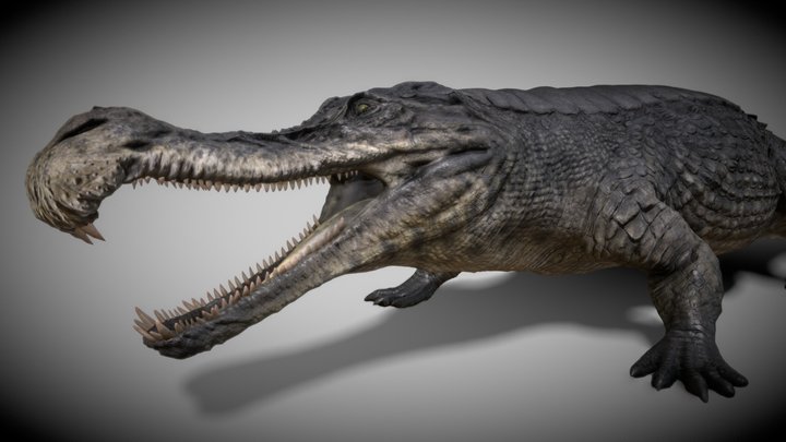 Sarchosuchus 3D Model