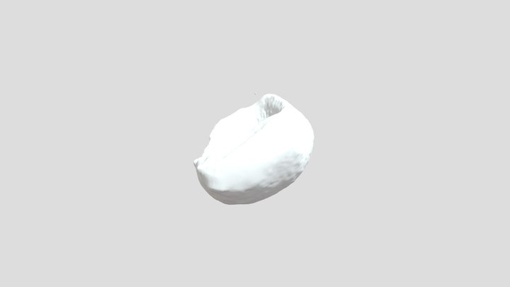 Canoe 3D Model