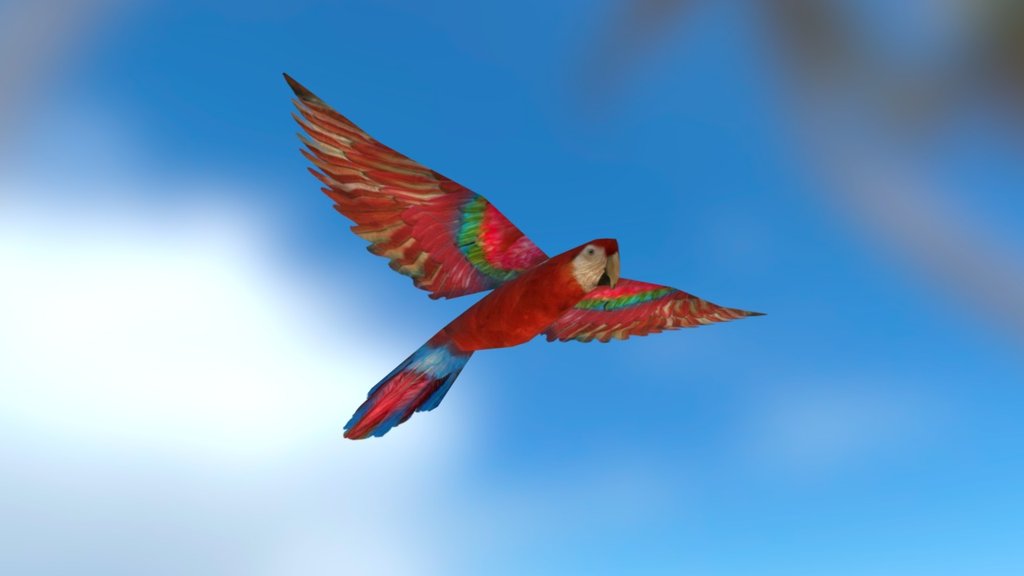 Parrot (Low poly - RTS game) - 3D model by joscanper [ed6c4ea] - Sketchfab