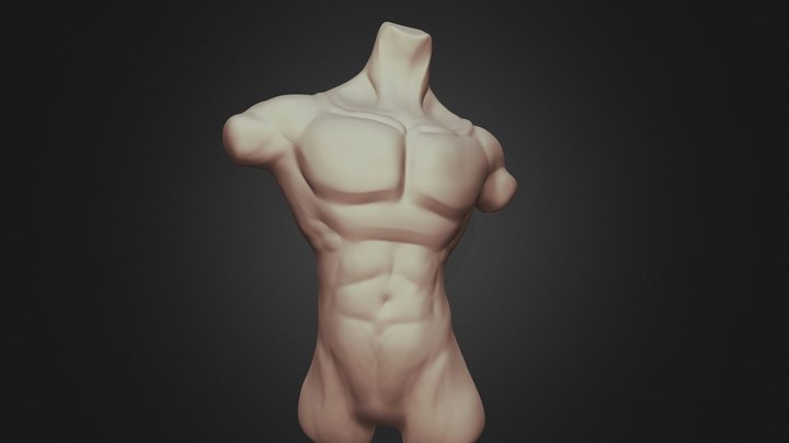 SculptJanuary 22| Torso Male 3D Model