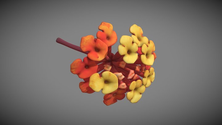 Florcitas silvestres 3D Model