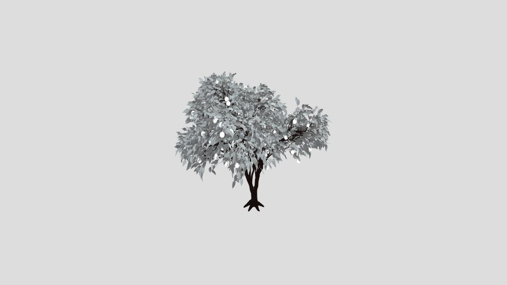 Lemon Tree