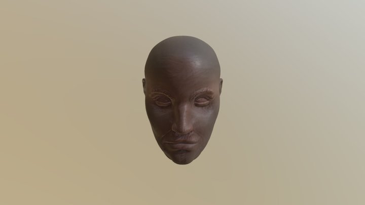 Test Head 3D Model